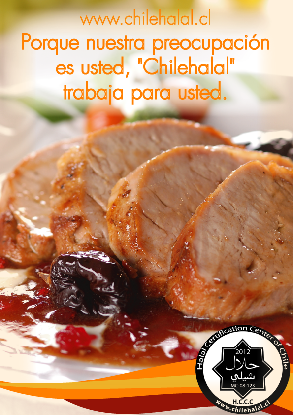 Halal-Chile-food.png