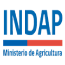 INDAP-MINISTERIO-DE-LA-AGRICULTURA.png