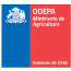 ODEPA-CHILE.png