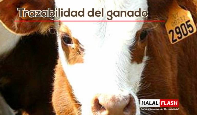 Chile prioriza la trazabilidad animal mediante una nueva iniciativa